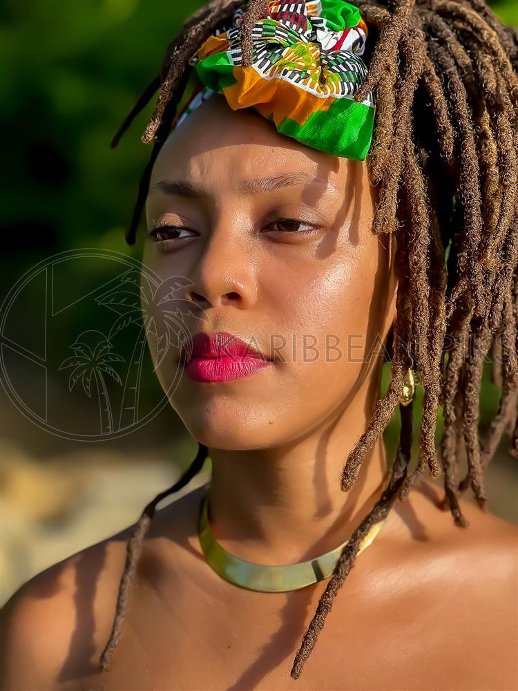Beau visage de femme afro avec des locks